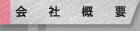 ЊTv